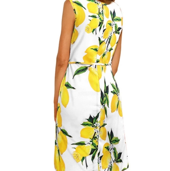 Lemon dress in white - Picture 3 of 9